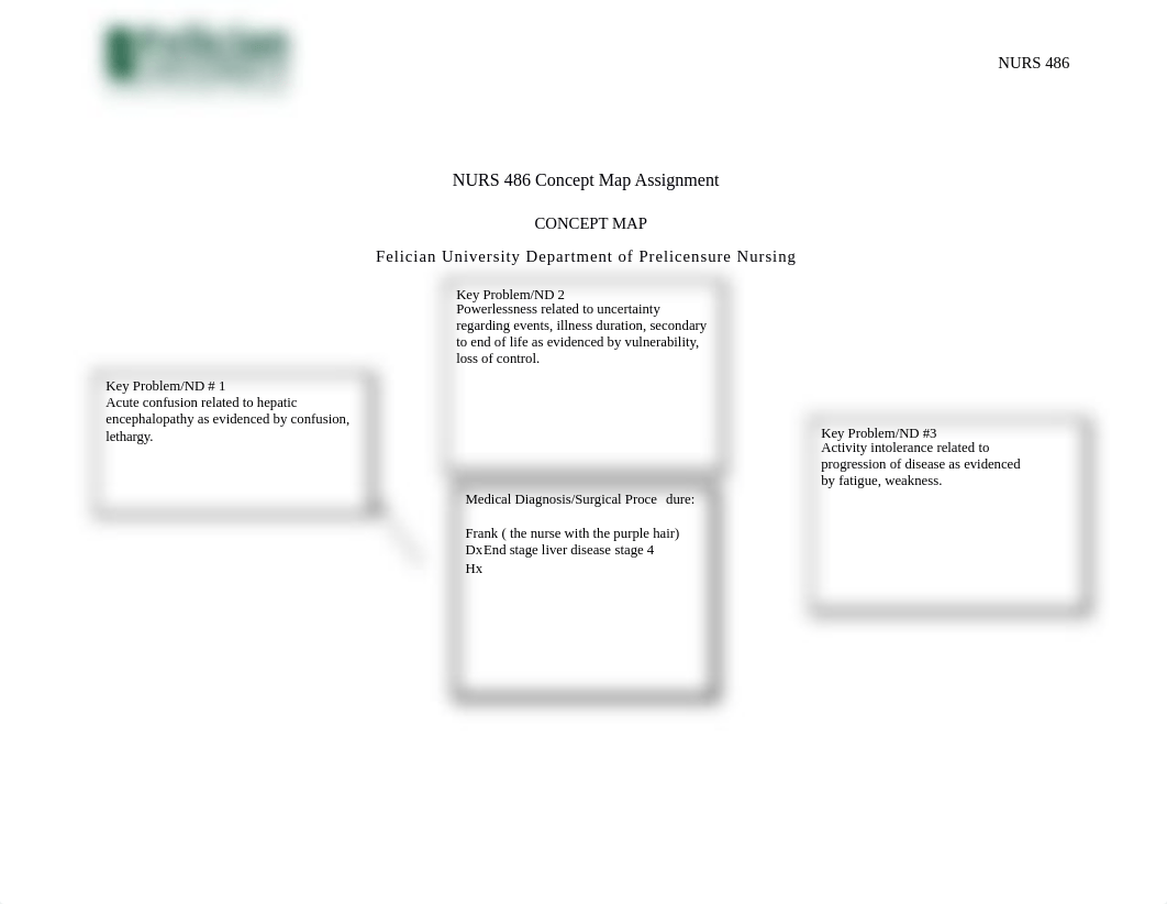 nurs 486 concept map .docx_dafd76xzfm8_page1