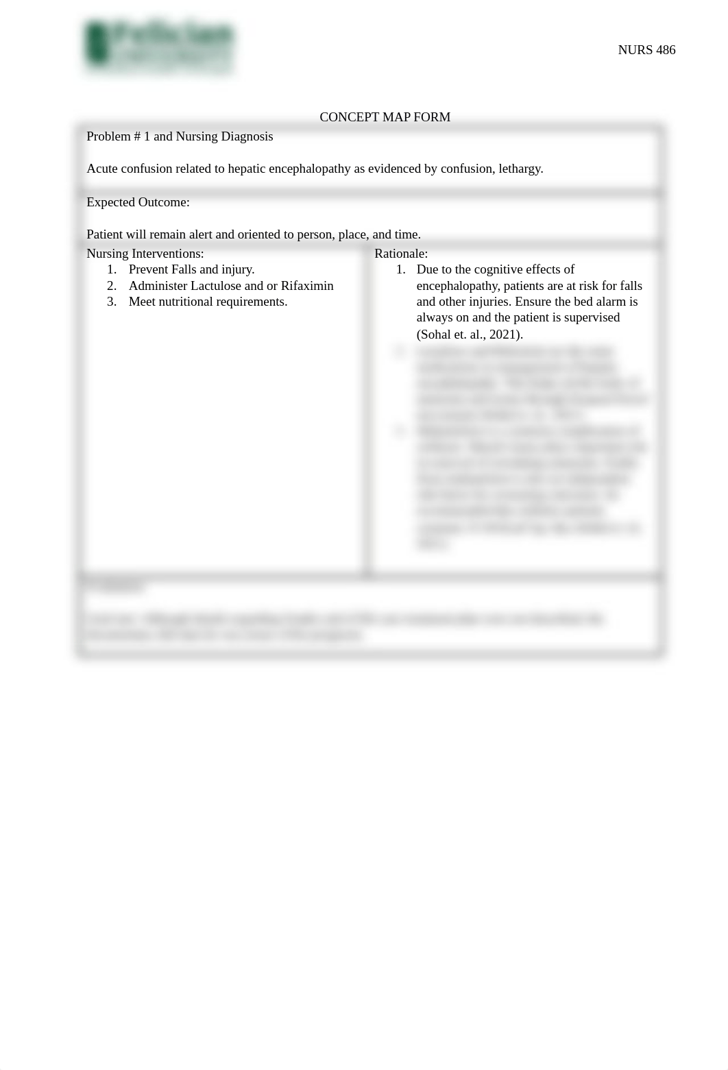 nurs 486 concept map .docx_dafd76xzfm8_page2