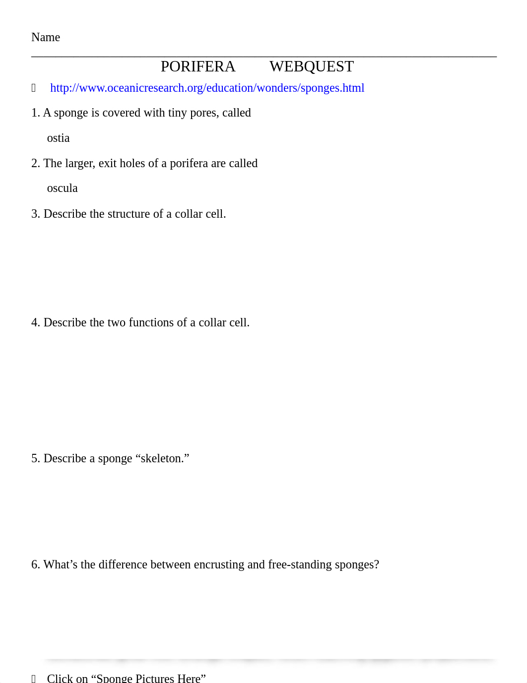 Sponge Webquest.doc_dafhvjh9n71_page1