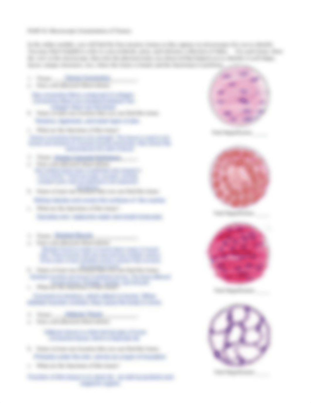 Basic Histology Lab Sp20 online.pdf_dafmsaj2iue_page2