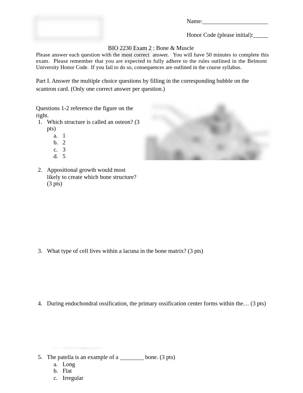 BIO2230 Exam 2.docx_dag0liilmkk_page1