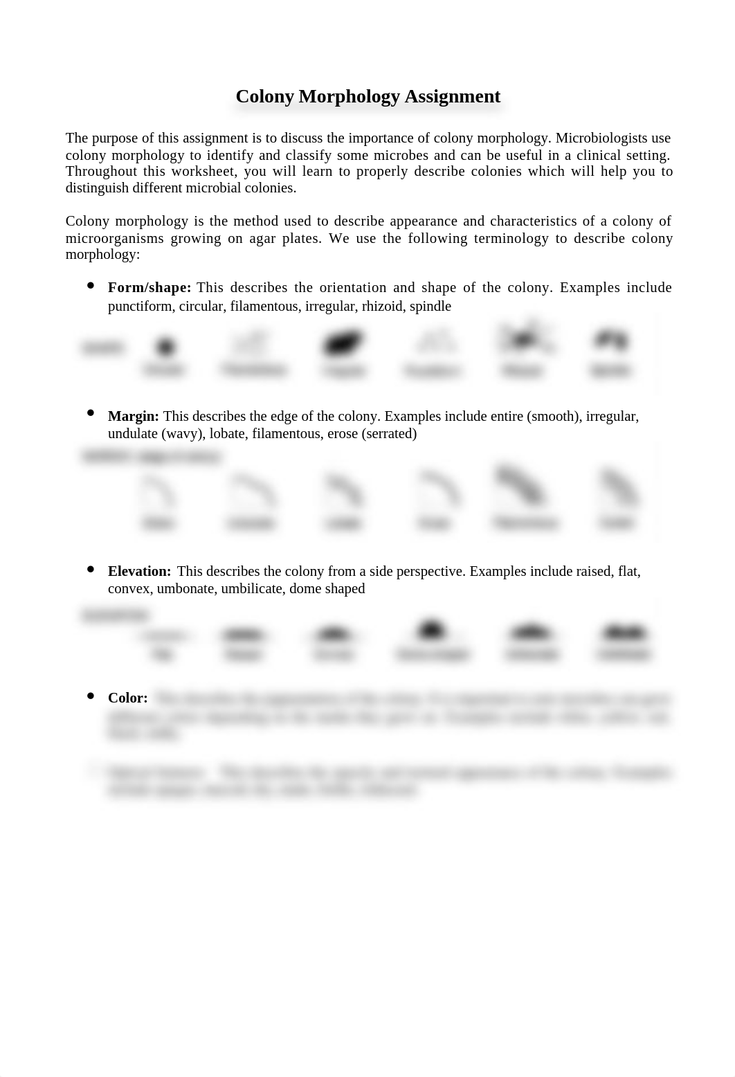 Colony Morphology Assignment.docx_dag4xwi2sj3_page1