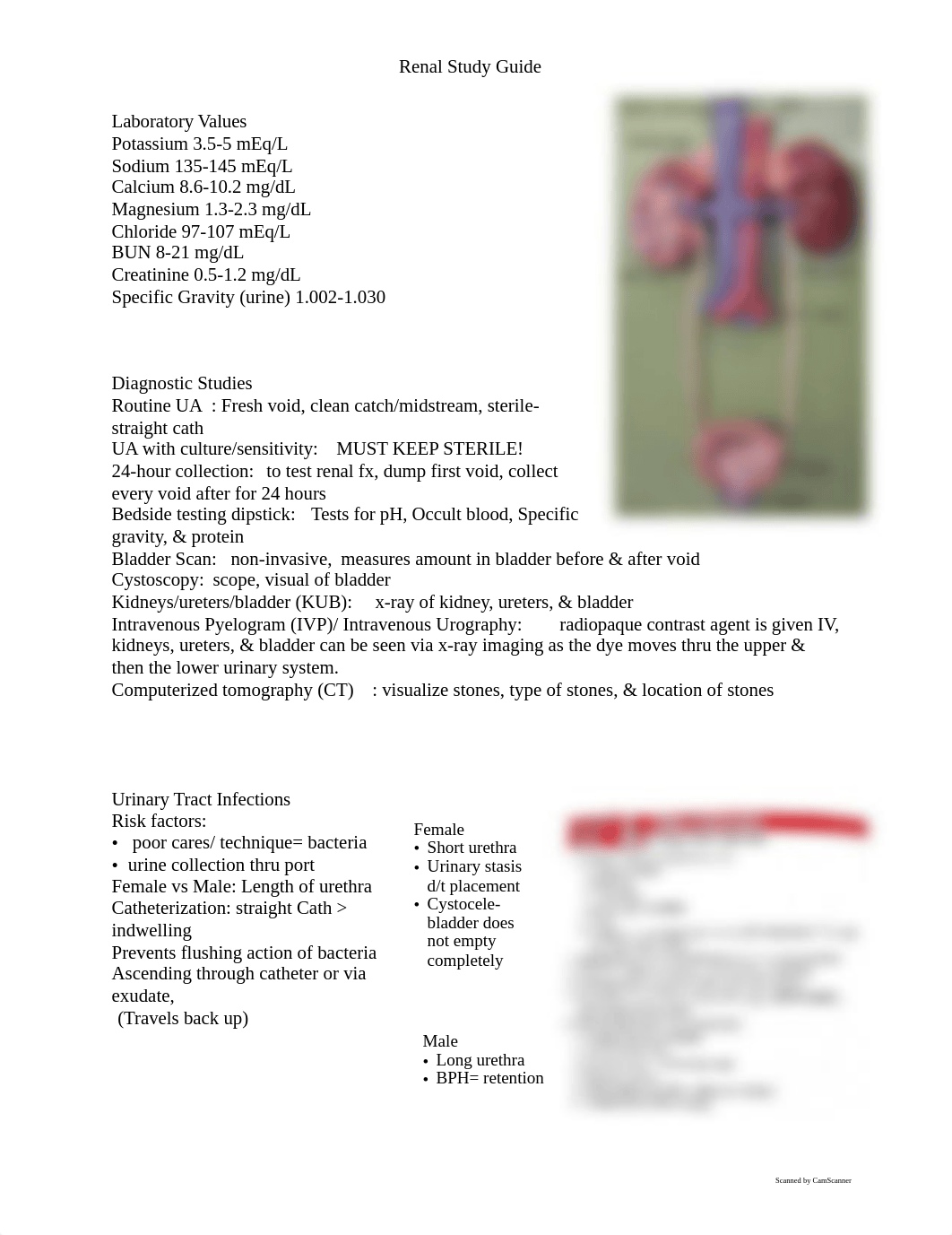 Renal Study Guide.pdf_dag52b17v77_page1