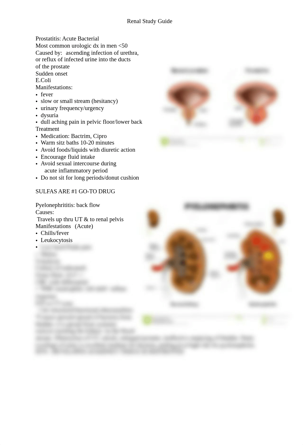 Renal Study Guide.pdf_dag52b17v77_page3