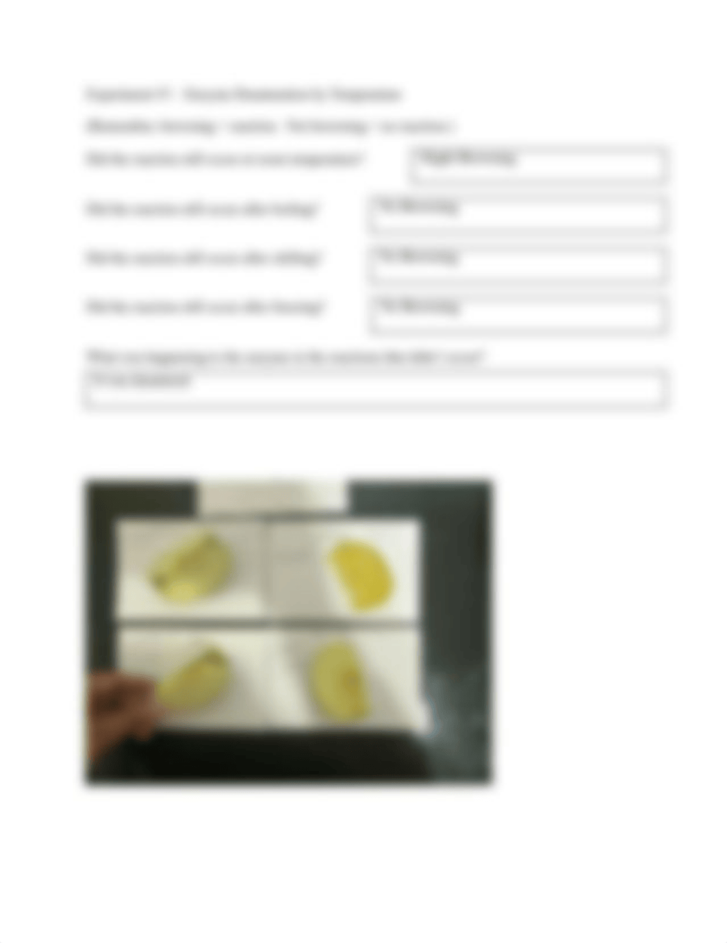 Enzymes I Worksheet Answer 2.docx_dag9wikx1l3_page3