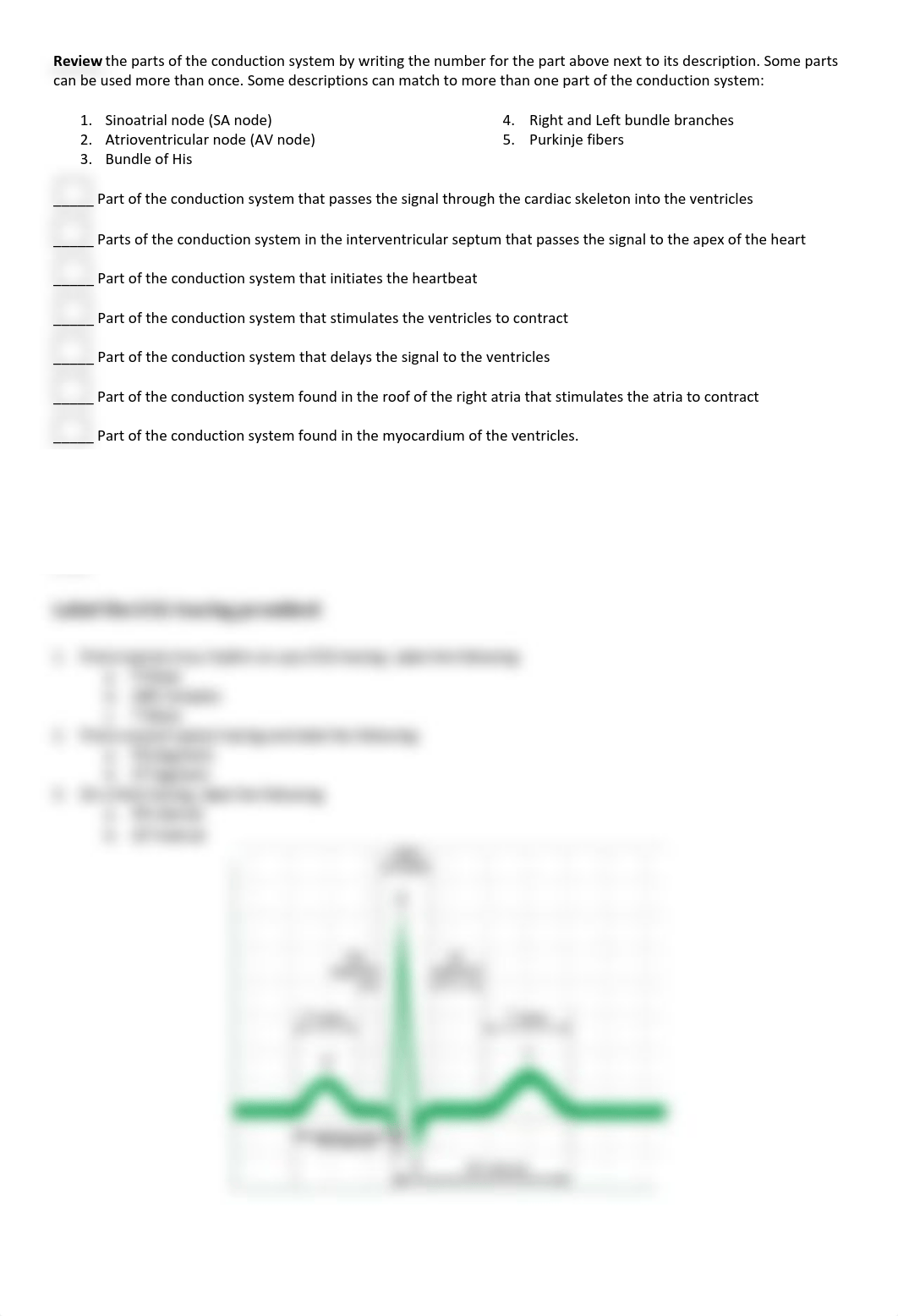 Labs1_Heart - EKG online.pdf_dagah85qm8o_page2