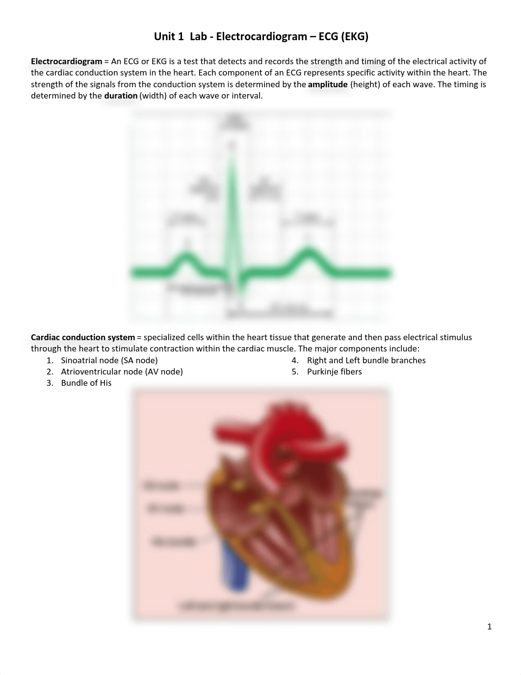 Labs1_Heart - EKG online.pdf_dagah85qm8o_page1