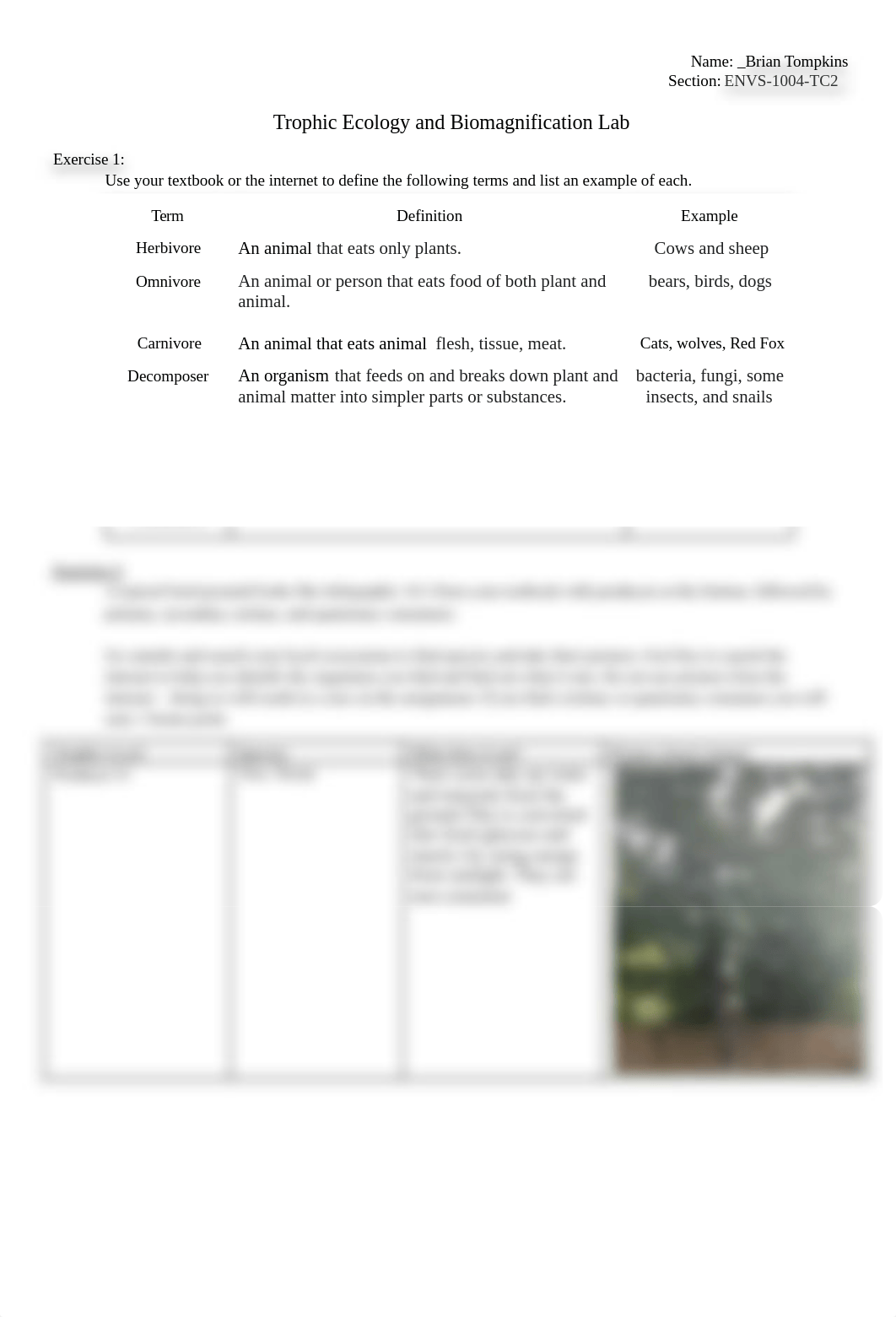 TrophicEcologyandBioaccumulationLab.Worksheet.docx.pdf_dagc8sk67lj_page1