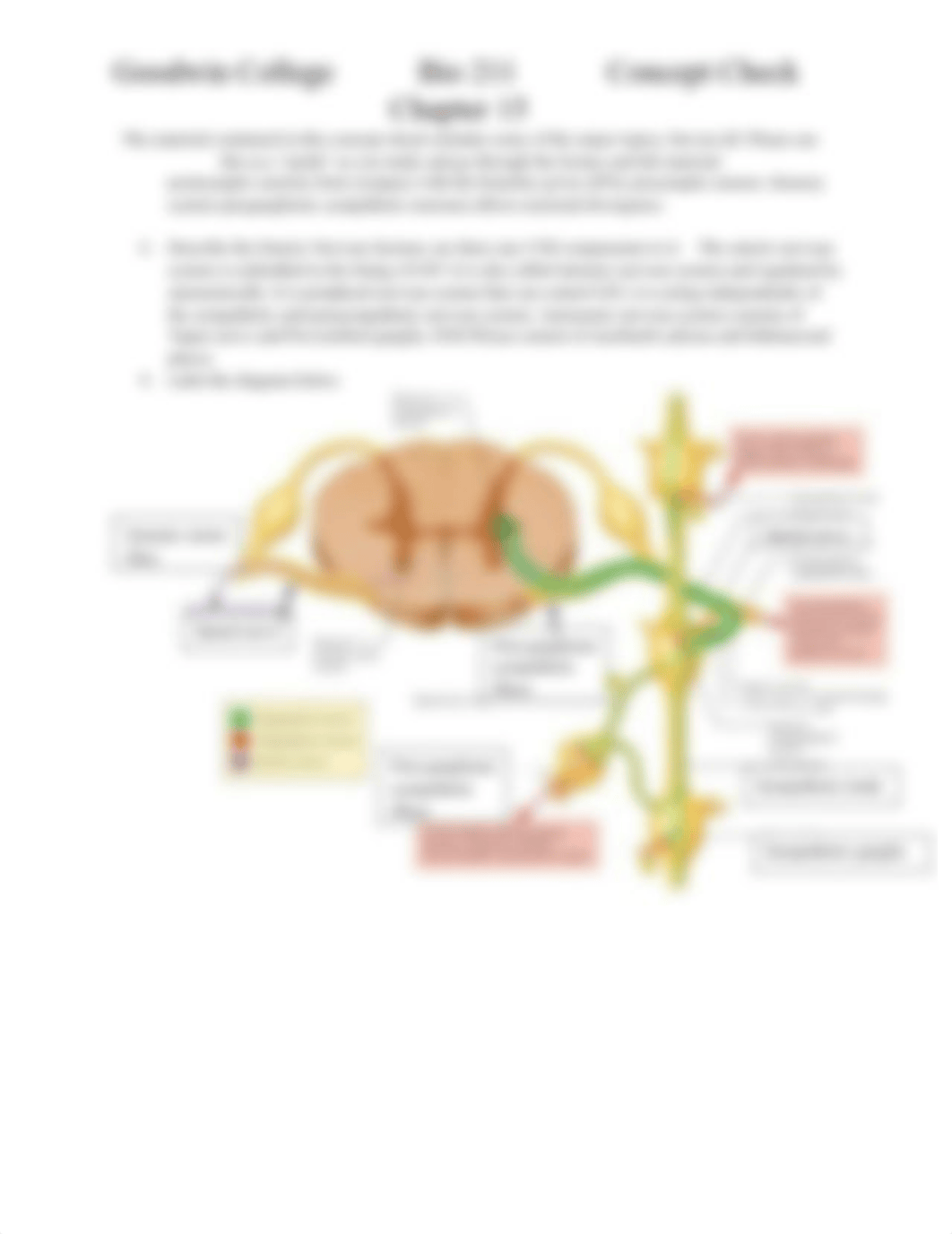 Chapter 15 Concept Check BIO211(1).docx_dagf15aok0s_page2