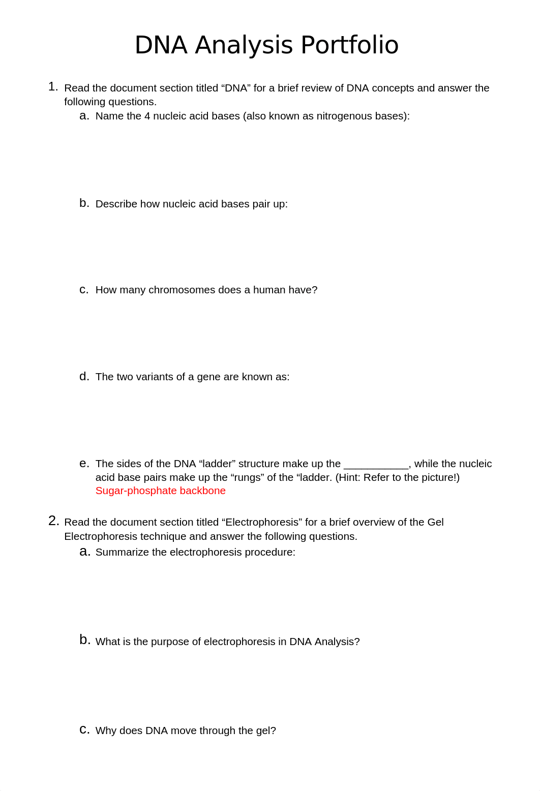 DNA Analysis Portfolio.docx_dagnb03yj41_page1