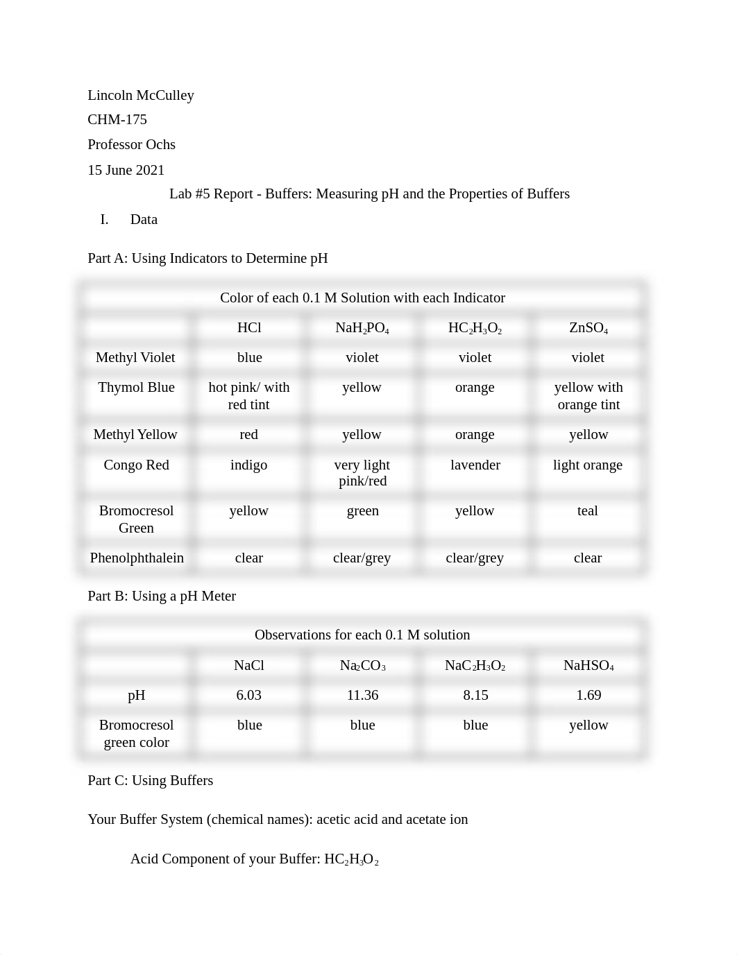 Lab Report #5.docx_dagownu9tjh_page1