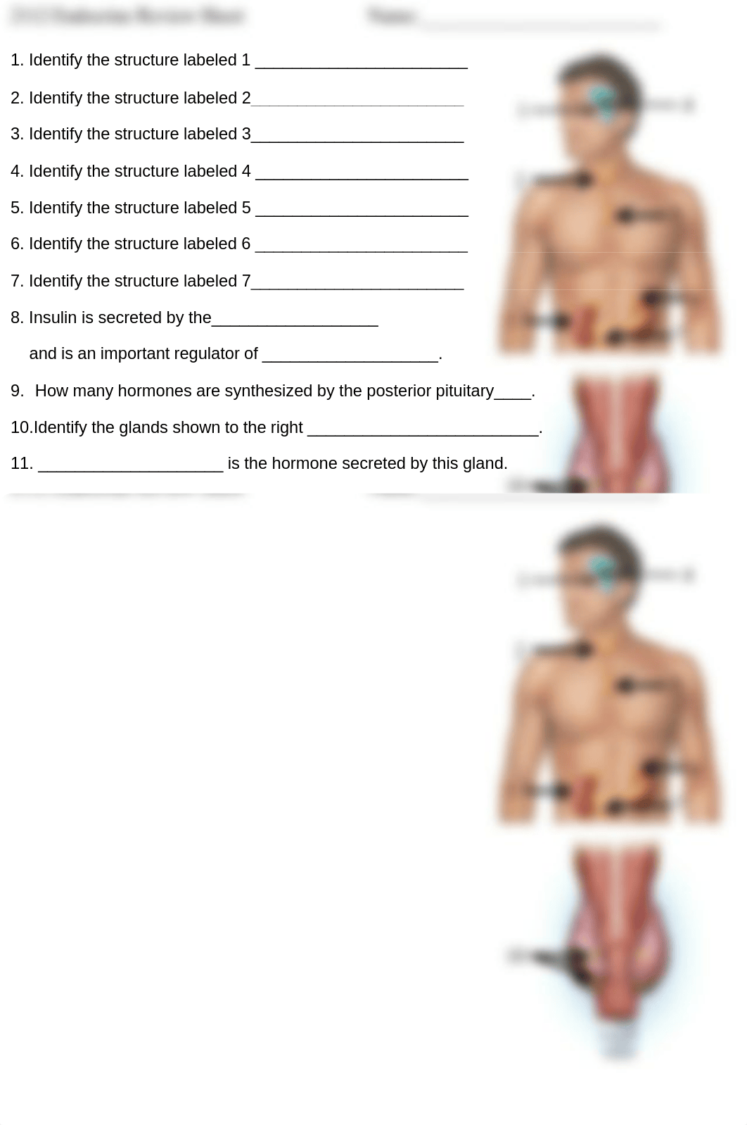 2112 Endocrine Review.pdf_dagssrdjw2l_page1