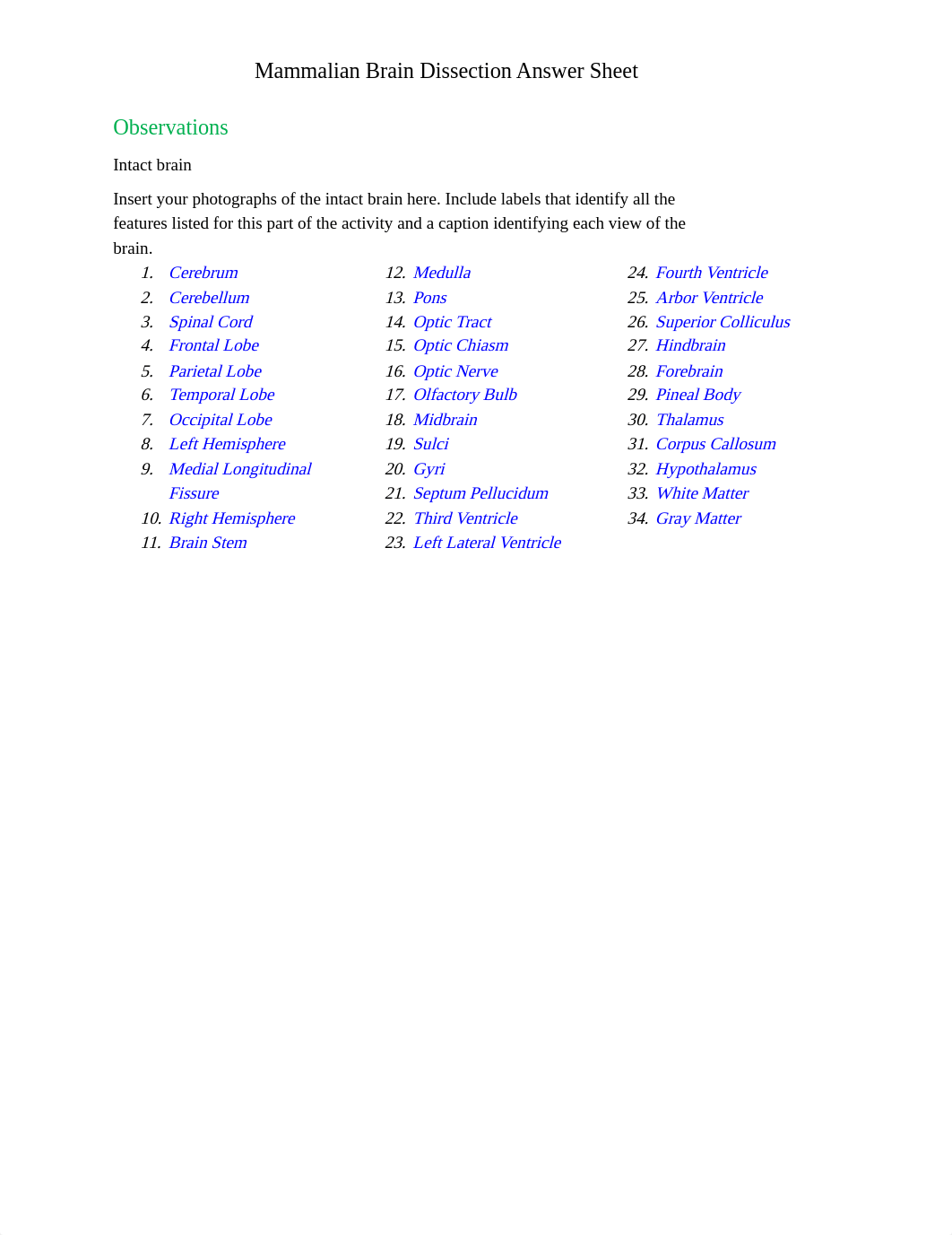 Mammalian_Brain_Dissection_Answer_sheet_dagy0o8m75r_page1