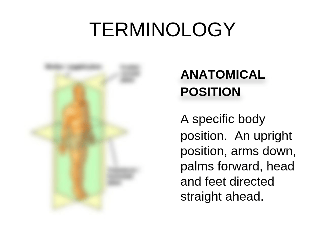 RADD 3512 Upper Extremity Positioning - Without XRays_dah8y93b7hs_page2