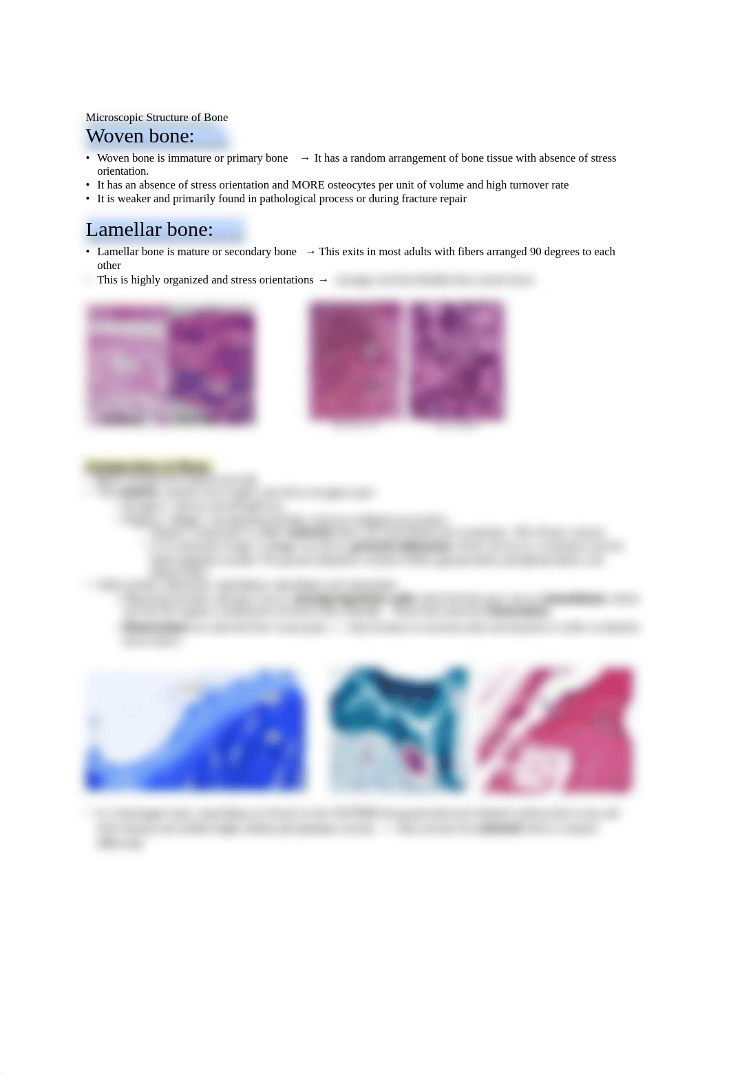 Histology of Bone .pdf_dahg1ca4mum_page2