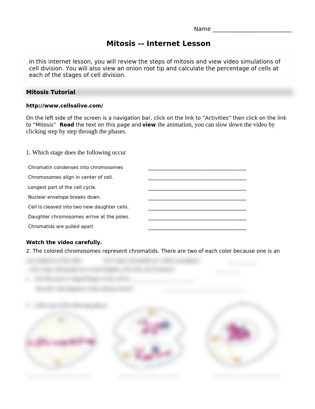 Mitosis Internet Lesson (1).doc_dahpwdf6vw7_page1