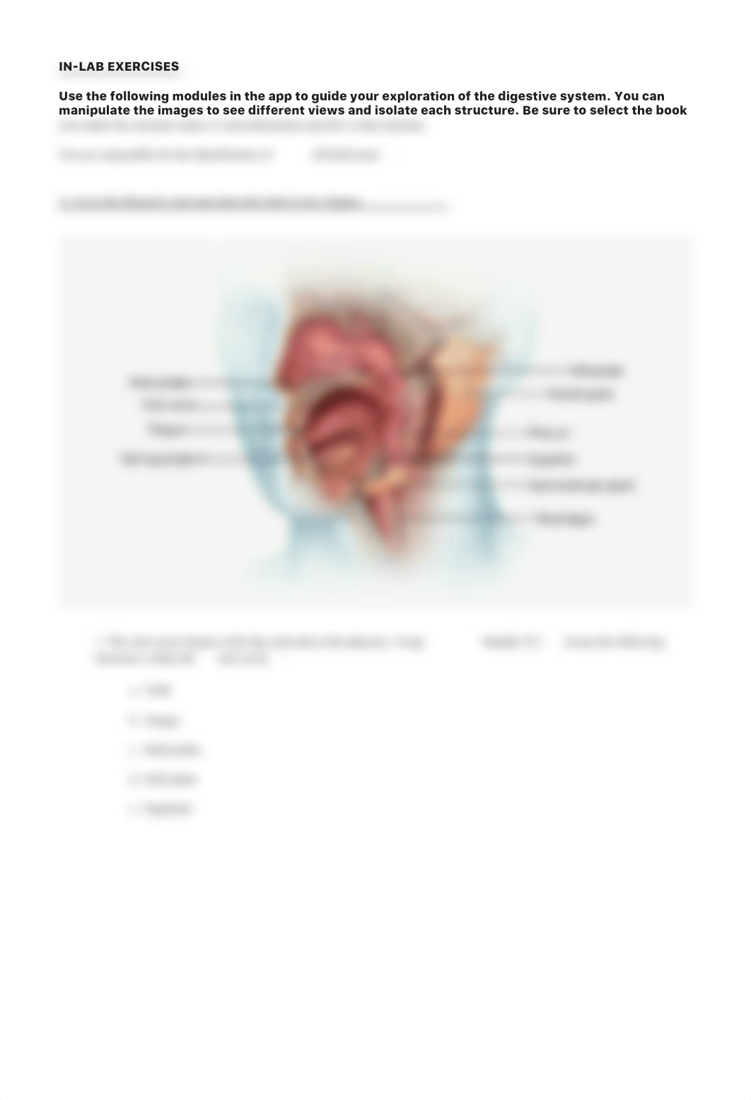 Digestive System lab manual .pdf_dai54md0wyc_page5