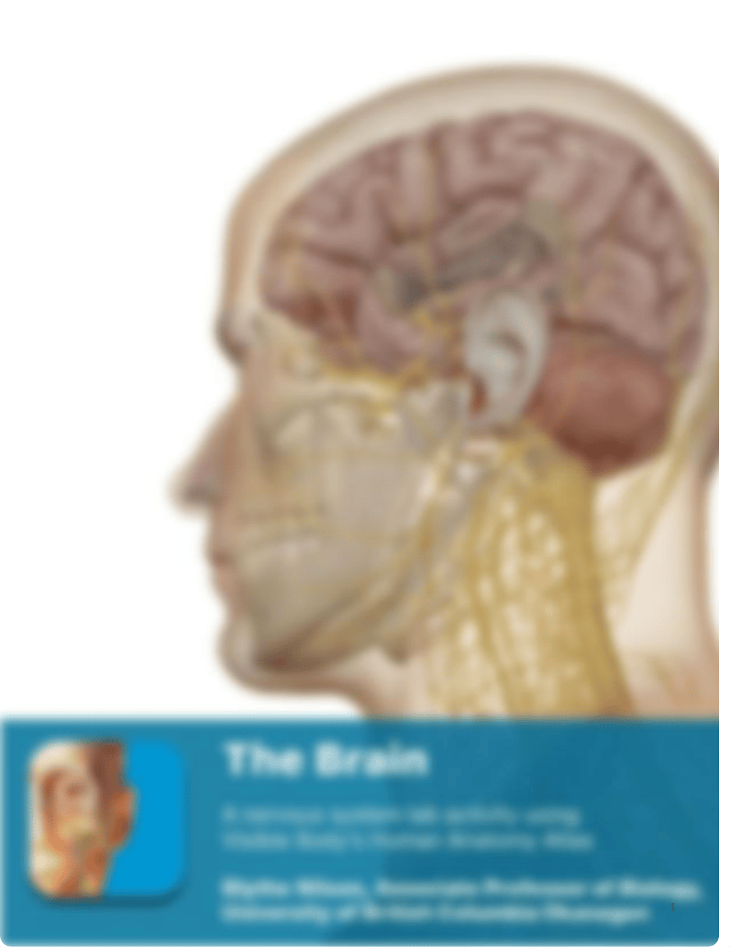 RB lab_manual_brain_atlas.pdf_dai8869hh5v_page1