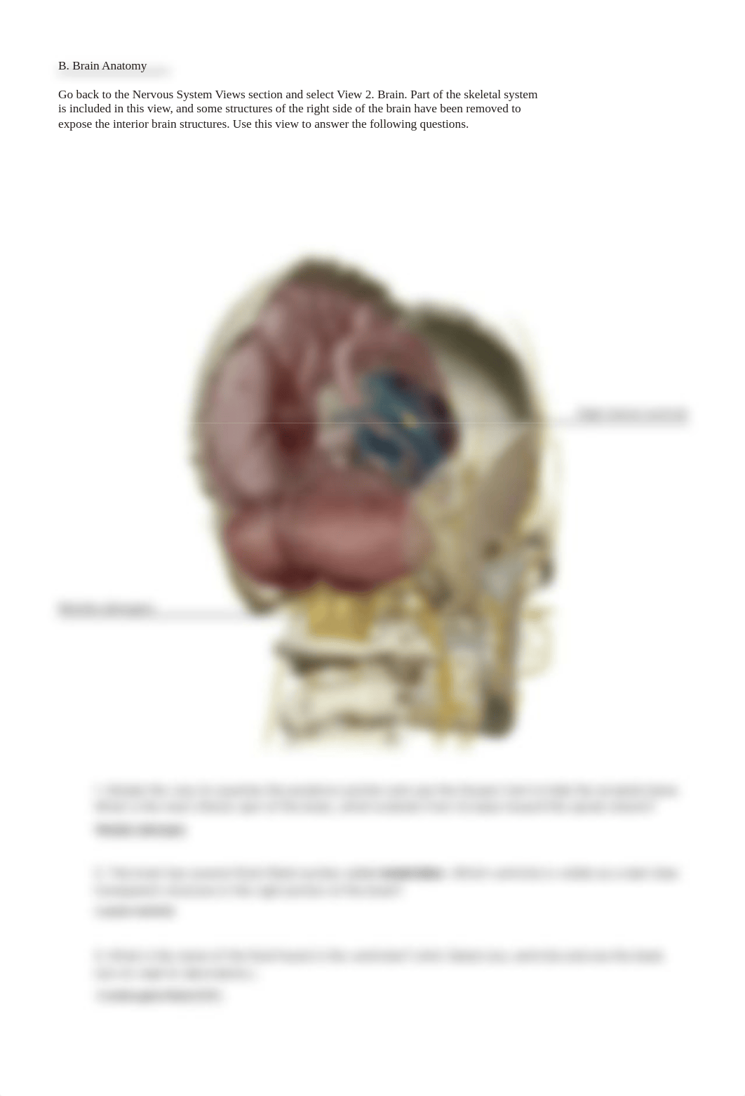 RB lab_manual_brain_atlas.pdf_dai8869hh5v_page4