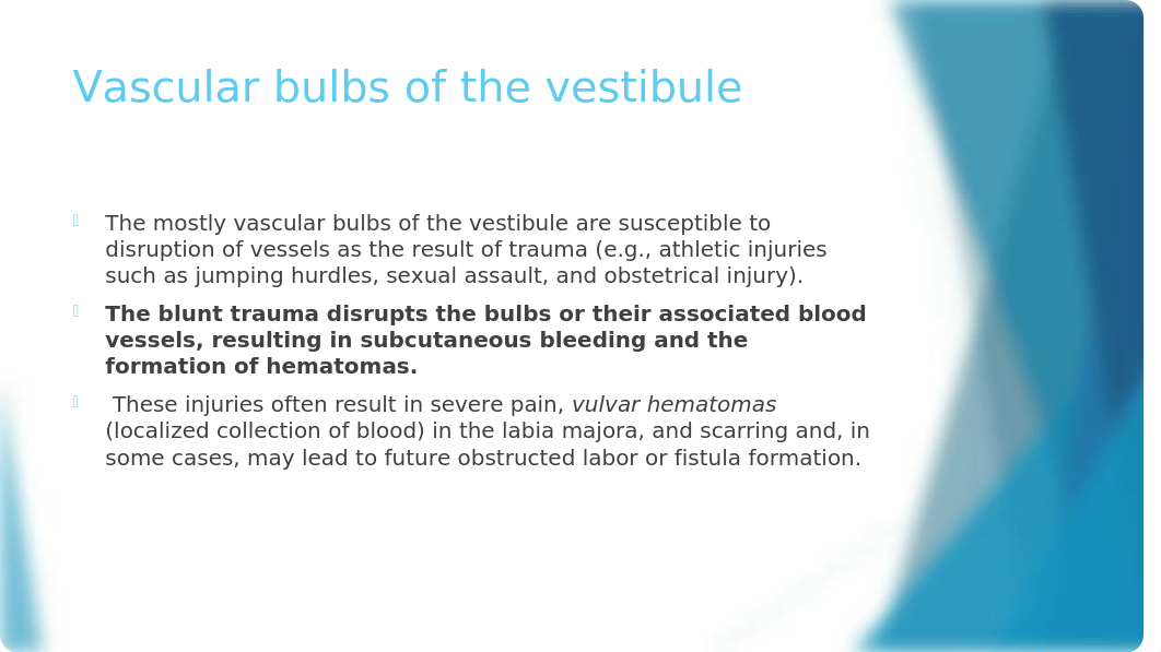 Clinical Correlations Pelvis and Perineum Updated (004).pptx_dai8uhzt2pp_page3