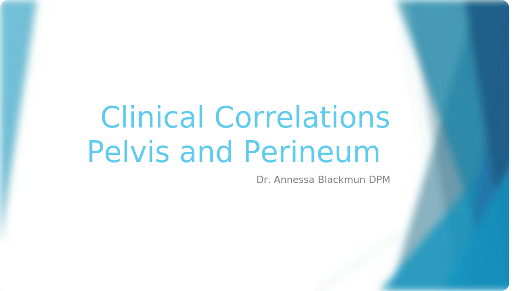 Clinical Correlations Pelvis and Perineum Updated (004).pptx_dai8uhzt2pp_page1