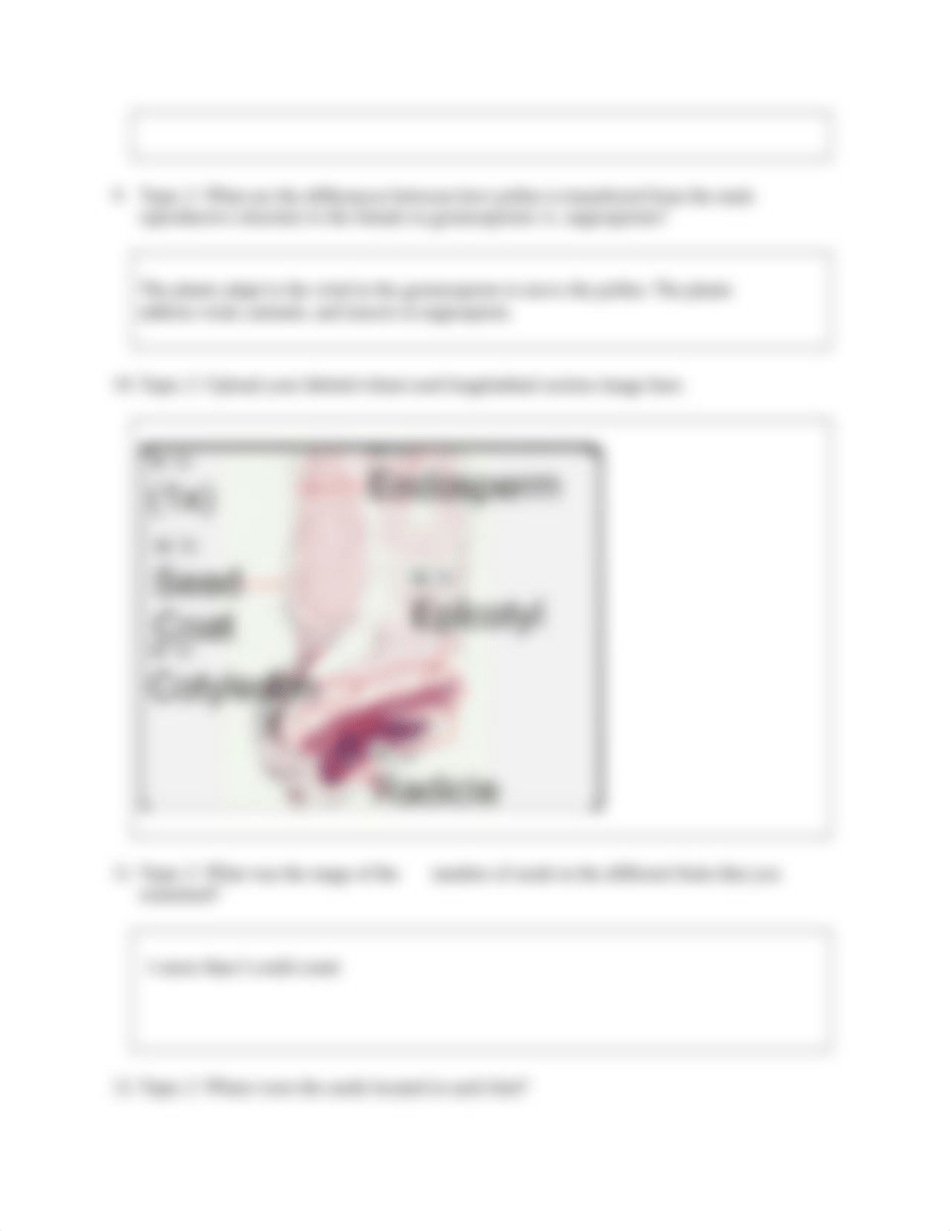 Lab 05B Plant Reproduction Short Answer Questions 2_12.docx_daiaguusotl_page5