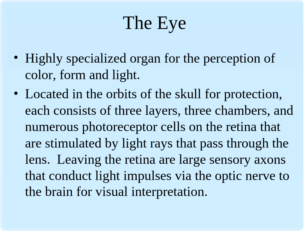 2.8 Histology of the Eye.ppt_daib077v6eo_page4