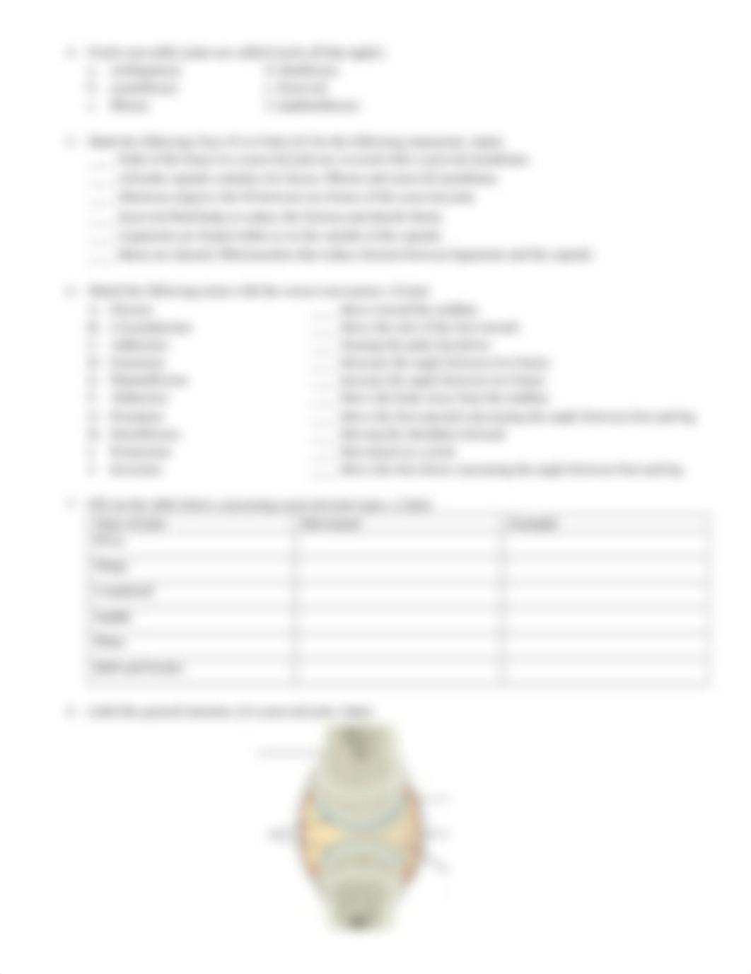 BIO 201 Unit 9 Joints - individual.pdf_daidl9zcswz_page4