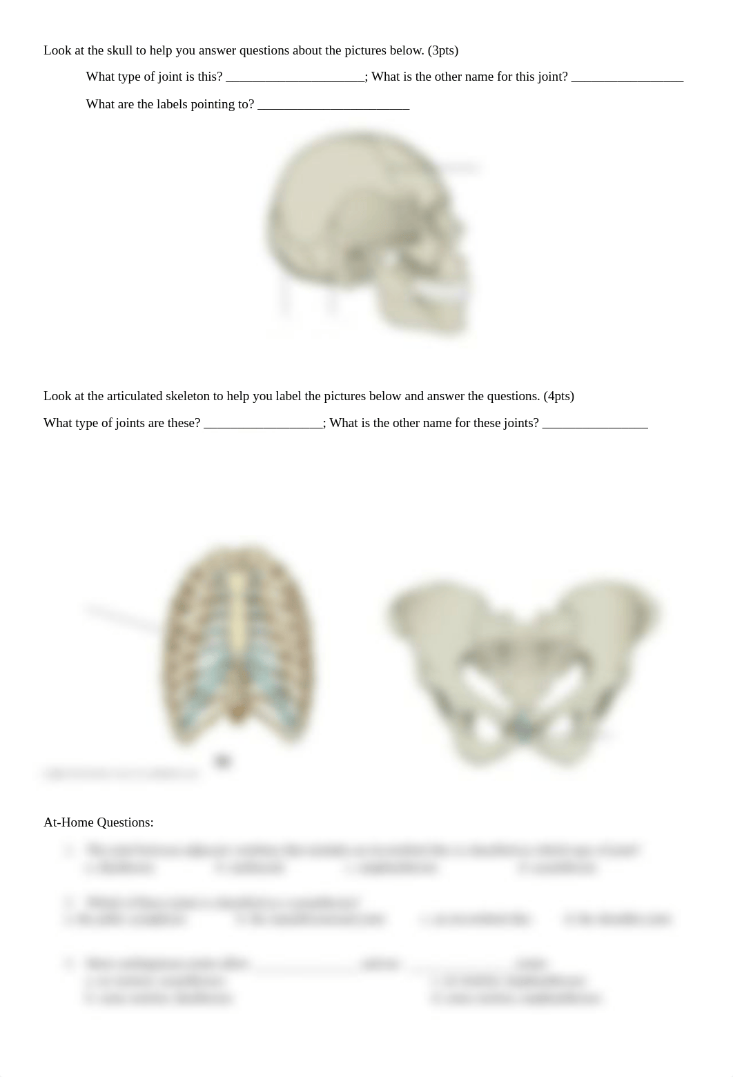 BIO 201 Unit 9 Joints - individual.pdf_daidl9zcswz_page3