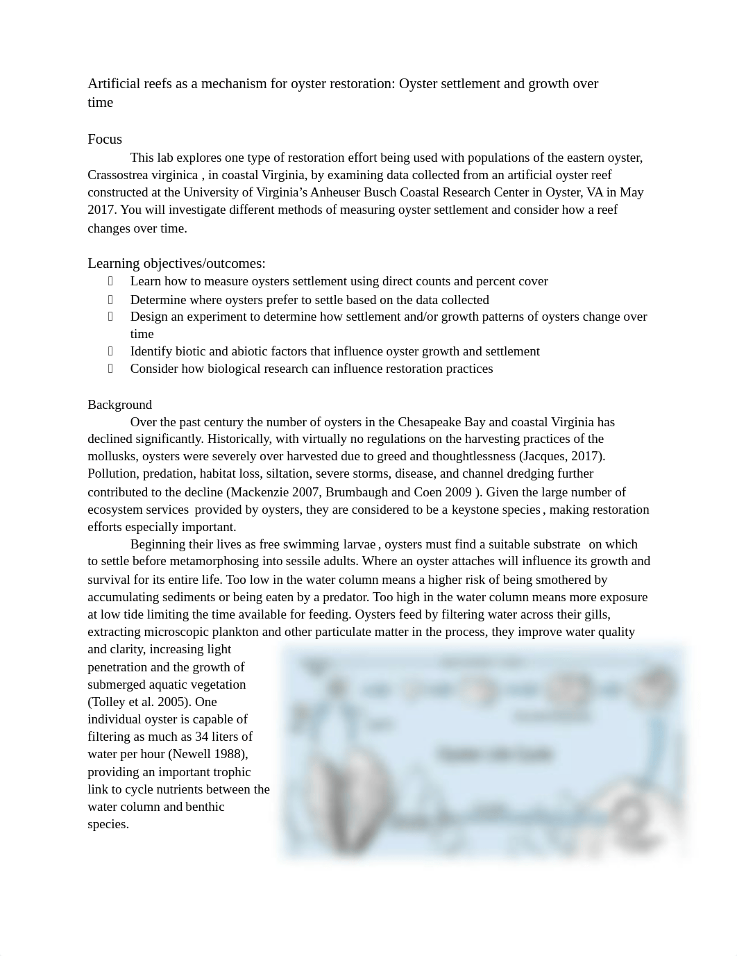 Oyster Reef Lab.docx_daiheodbwc9_page1