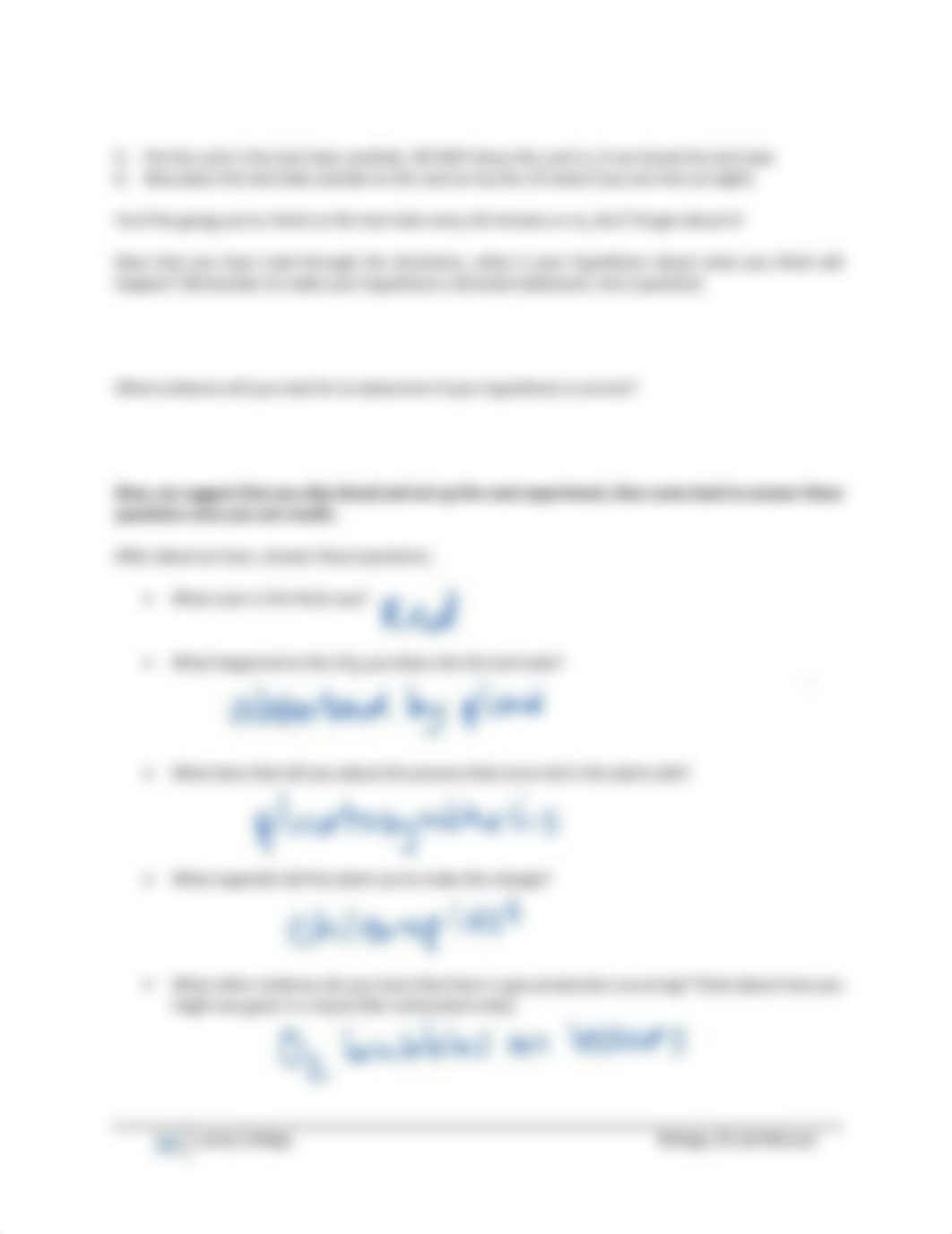 BIOL 10 6 - Why Do We Breathe Oxygen answer key-1.pdf_daii3npkl09_page4