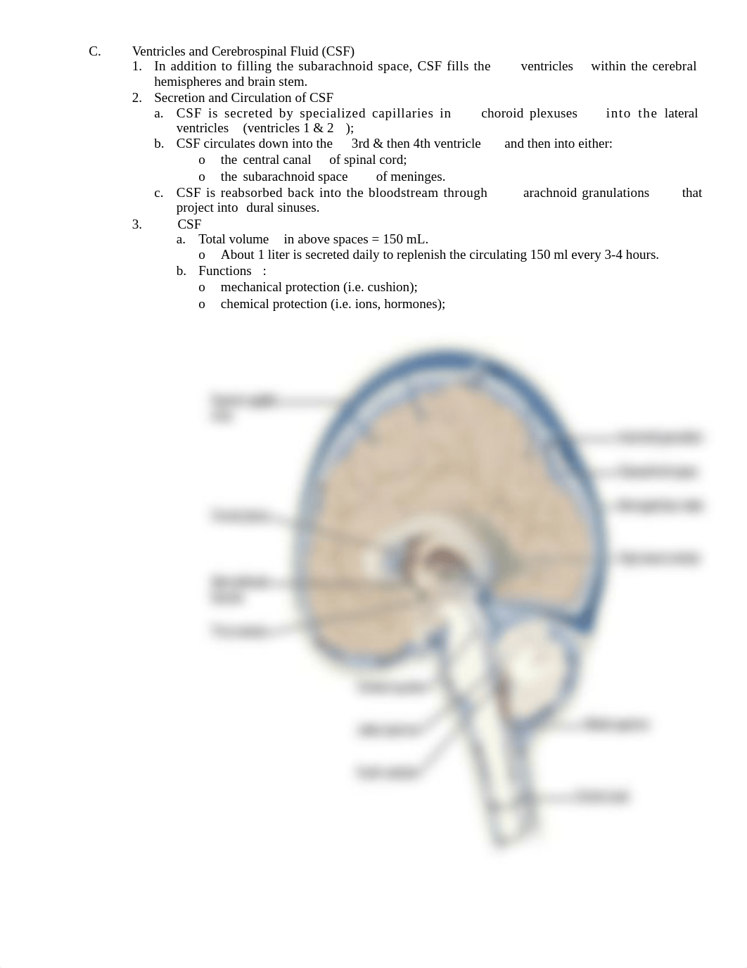 3-Brain-and-Cranial-Nerves-SP21-2.docx_dailmtdi8rc_page2