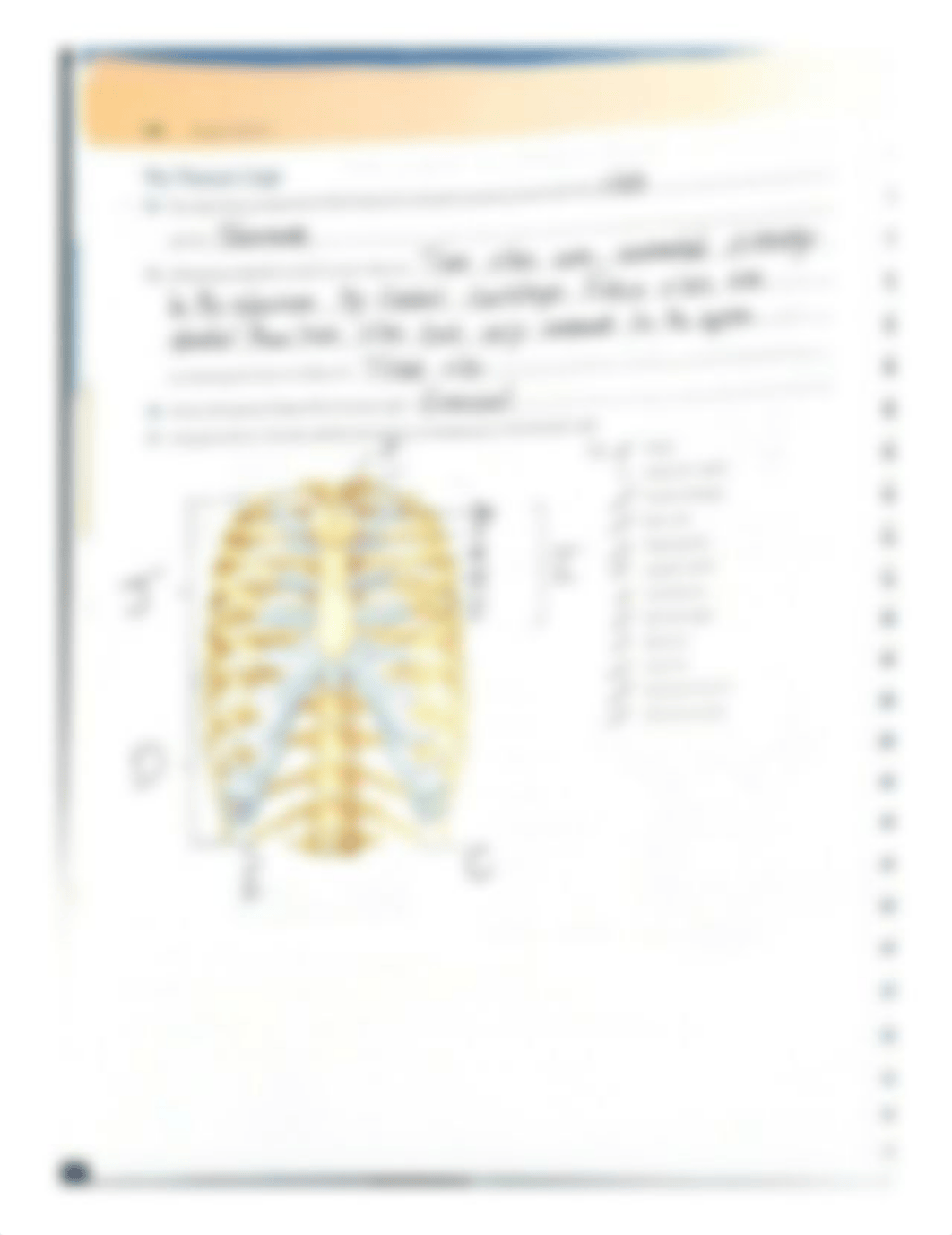 10. The distinguishing characteristics of the vertebrae composing the vertebral column are noted bel_daindancqhy_page3