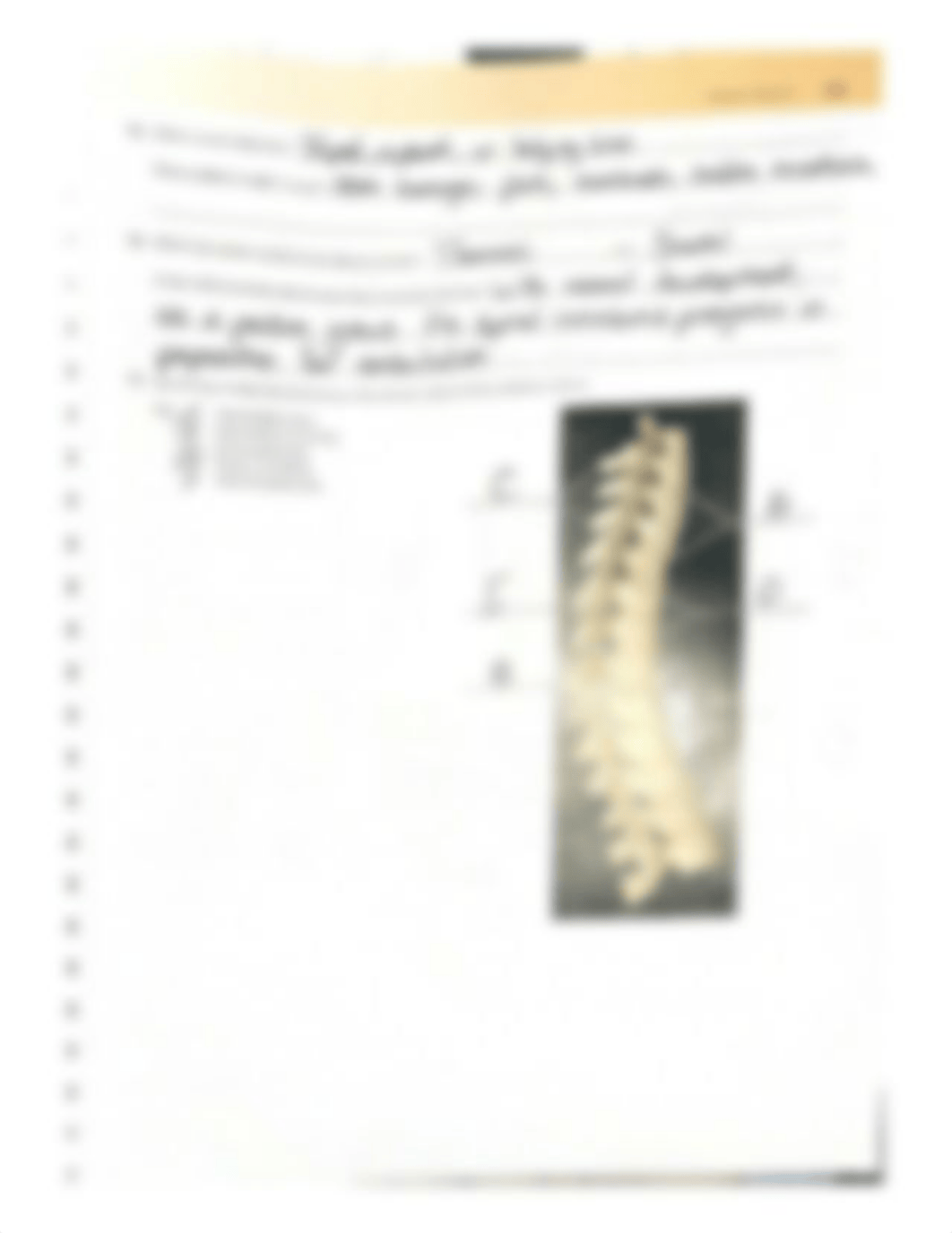 10. The distinguishing characteristics of the vertebrae composing the vertebral column are noted bel_daindancqhy_page2