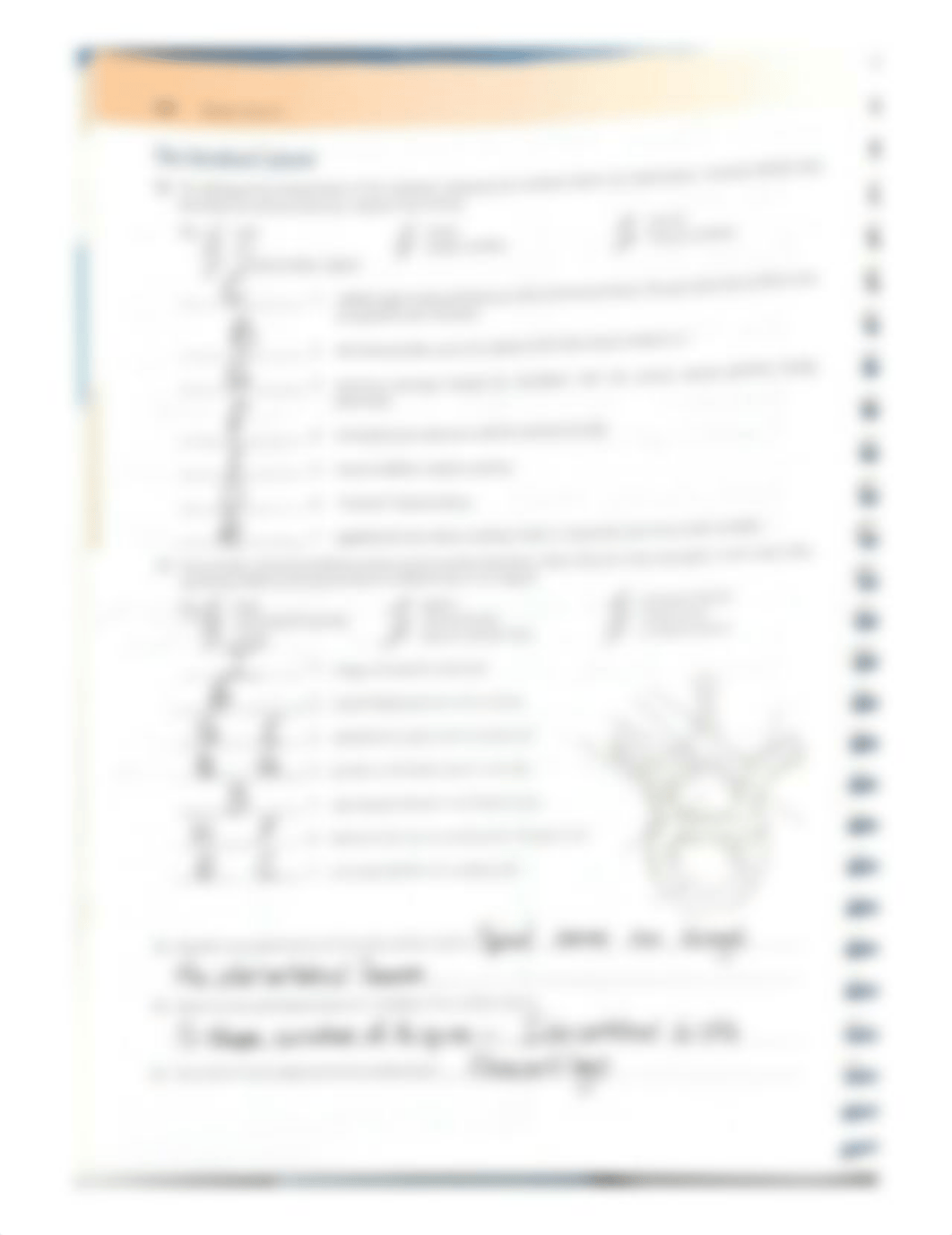 10. The distinguishing characteristics of the vertebrae composing the vertebral column are noted bel_daindancqhy_page1