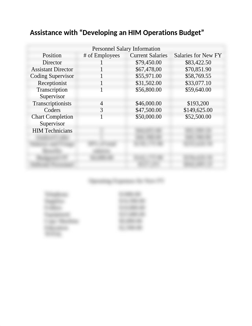 Assistance with Developing an HIM Operations Budget.docx_daip0im6dju_page1