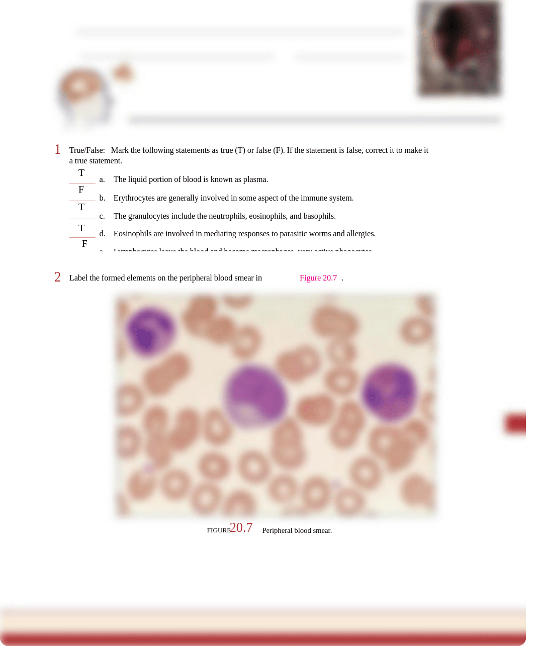 unit 20 Blood cyr .pdf_daj2u1z8367_page1