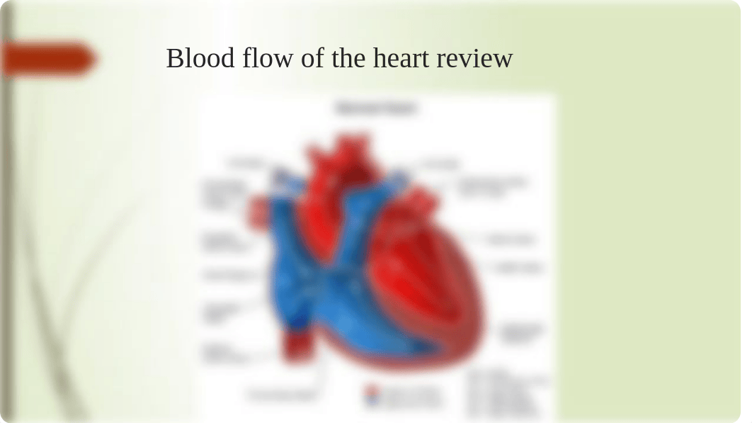 Congenital Heart Defects.pptx_daj7a11fawa_page3