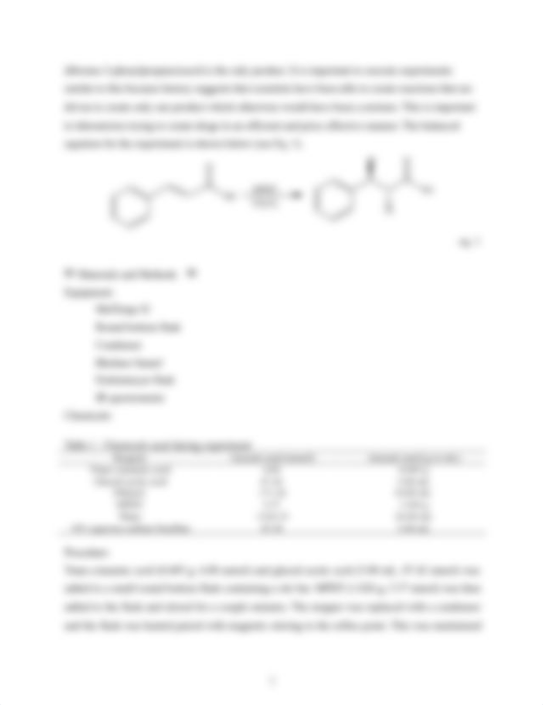 Bromination Report 2019.doc_dajdmzk0r4w_page2