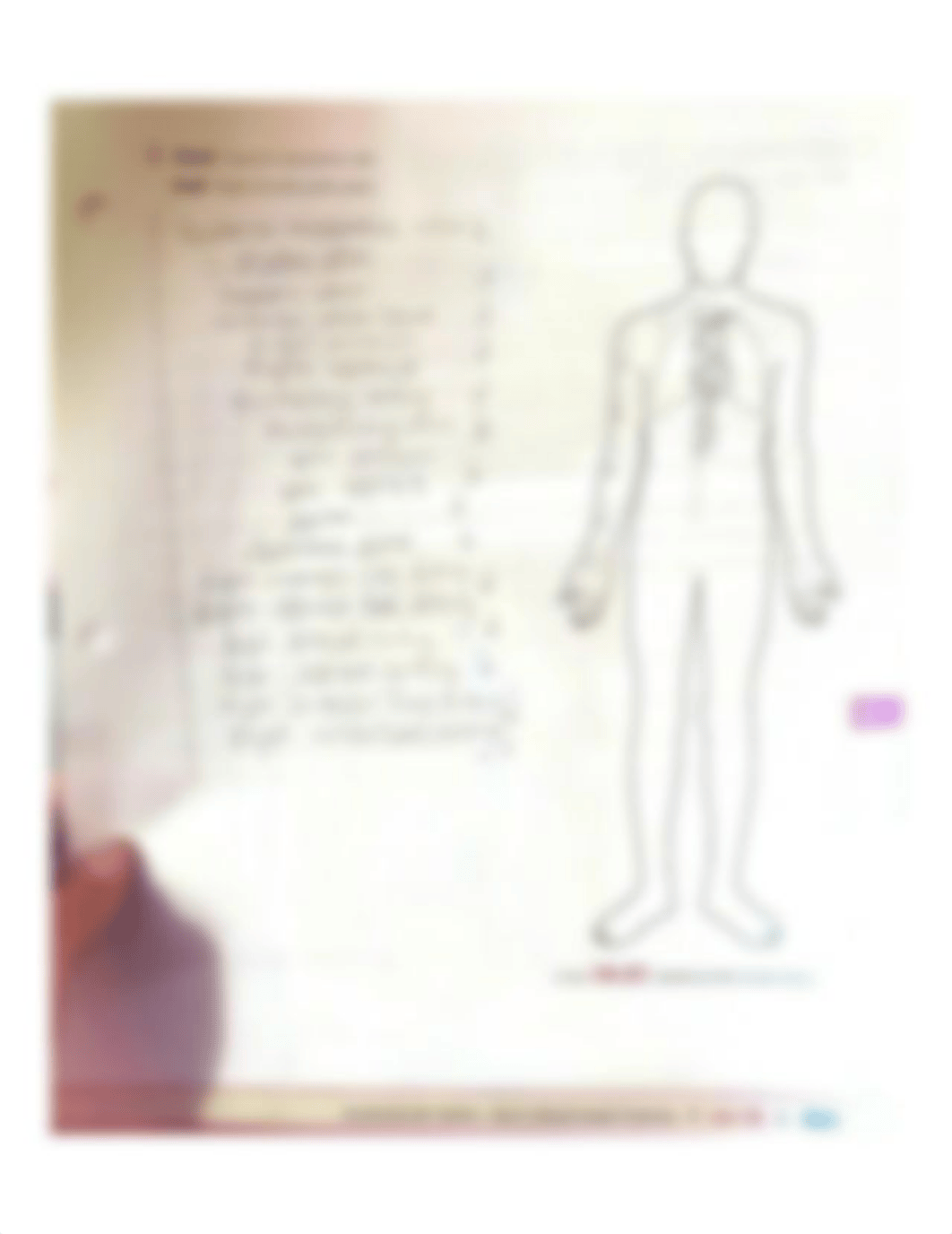 Procedure 1 Tracing Blood Flow Patterns.pdf_dajerccwkkl_page2