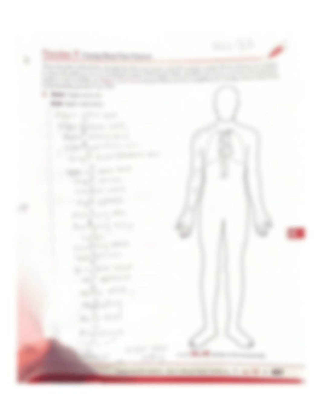 Procedure 1 Tracing Blood Flow Patterns.pdf_dajerccwkkl_page1