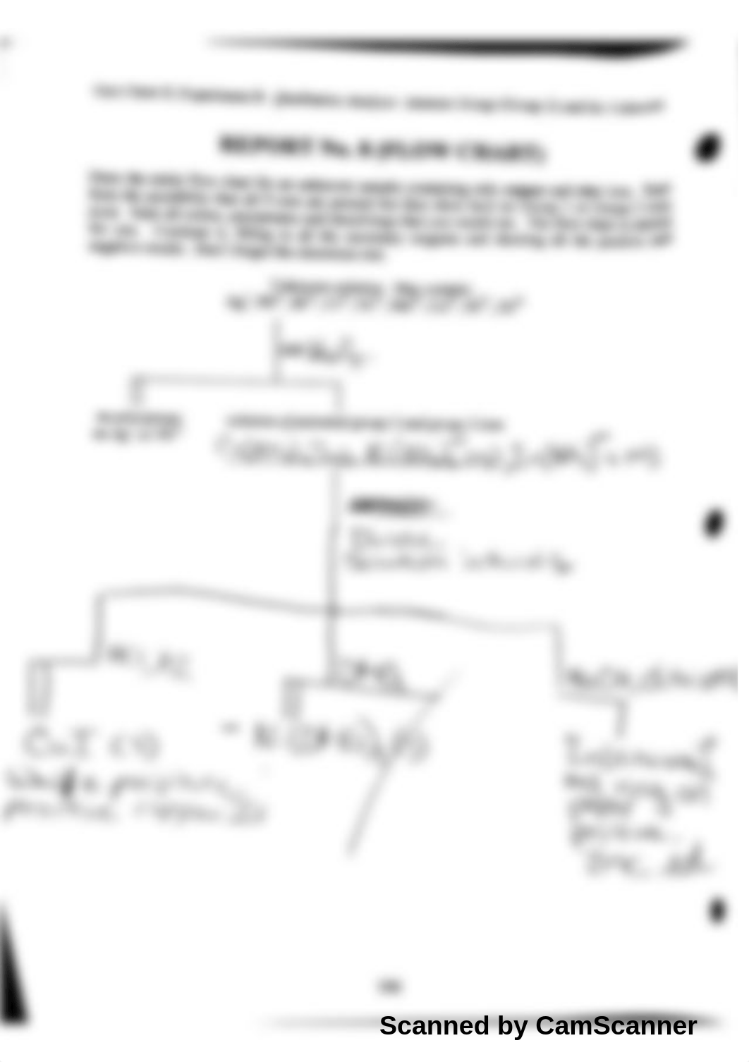 chem lab 8_dajl3vnu57r_page5