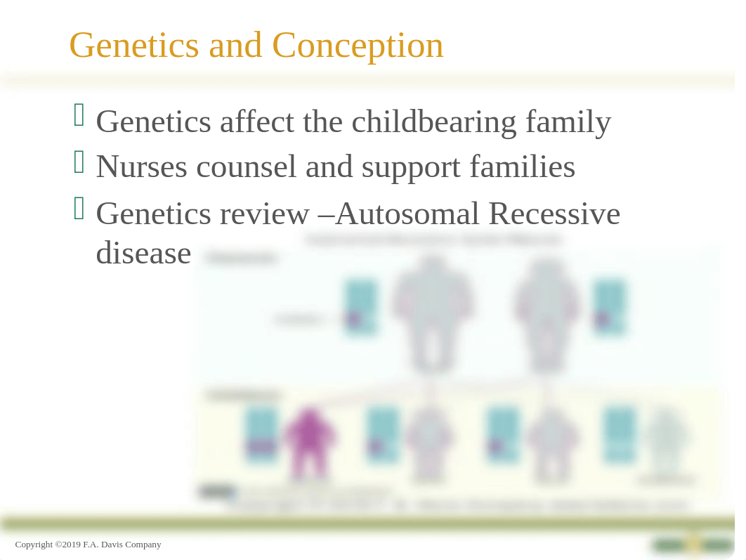 Chapter 3 Genetics and Conception PP.pptx_dajtdpqdr9v_page4