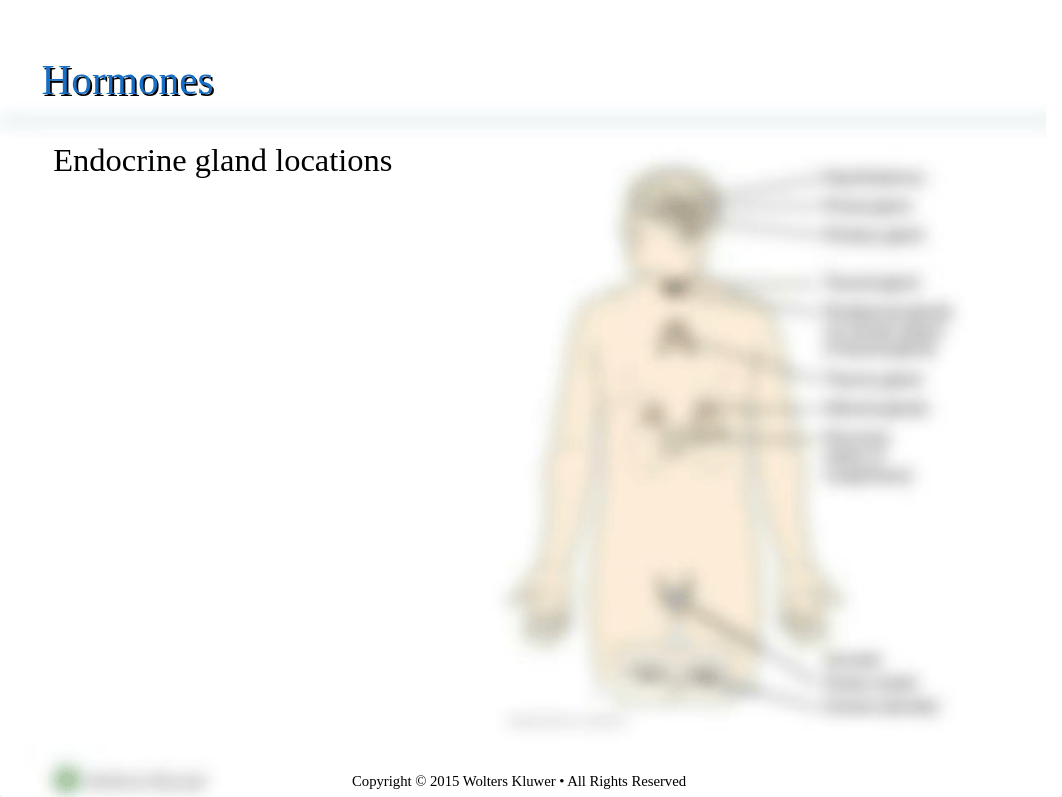 Chapter 40 - Mechanisms of Endocrine Control.ppt_dajz44gxk2u_page2