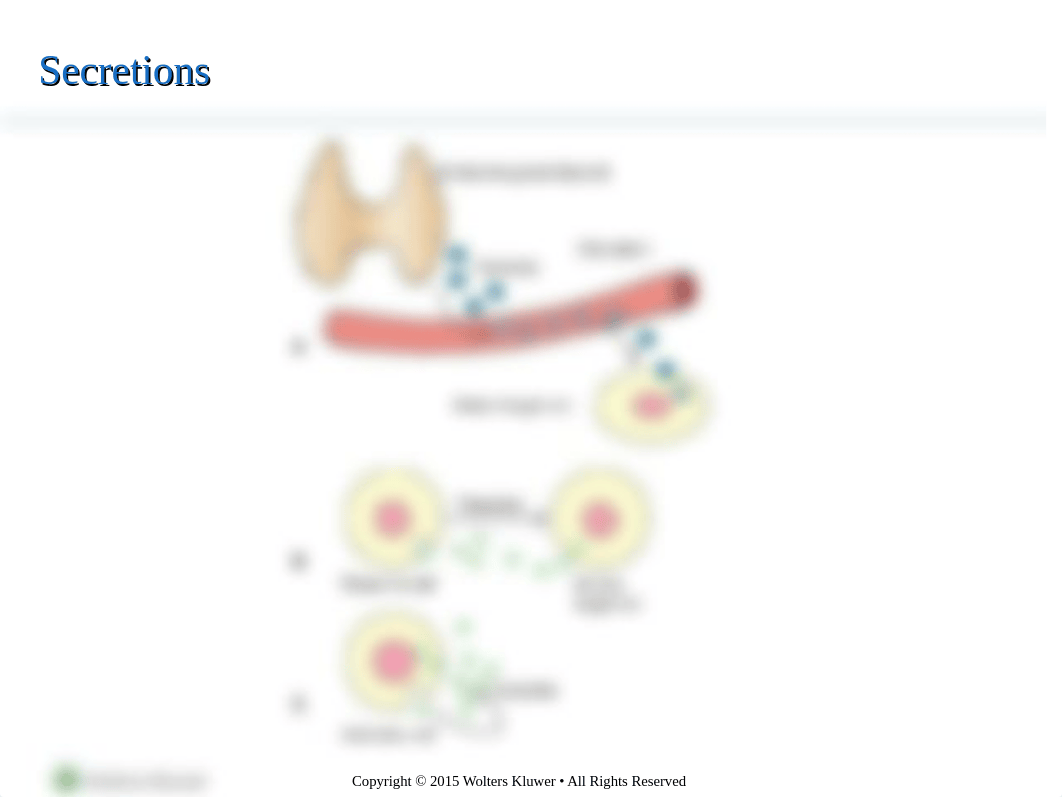 Chapter 40 - Mechanisms of Endocrine Control.ppt_dajz44gxk2u_page3