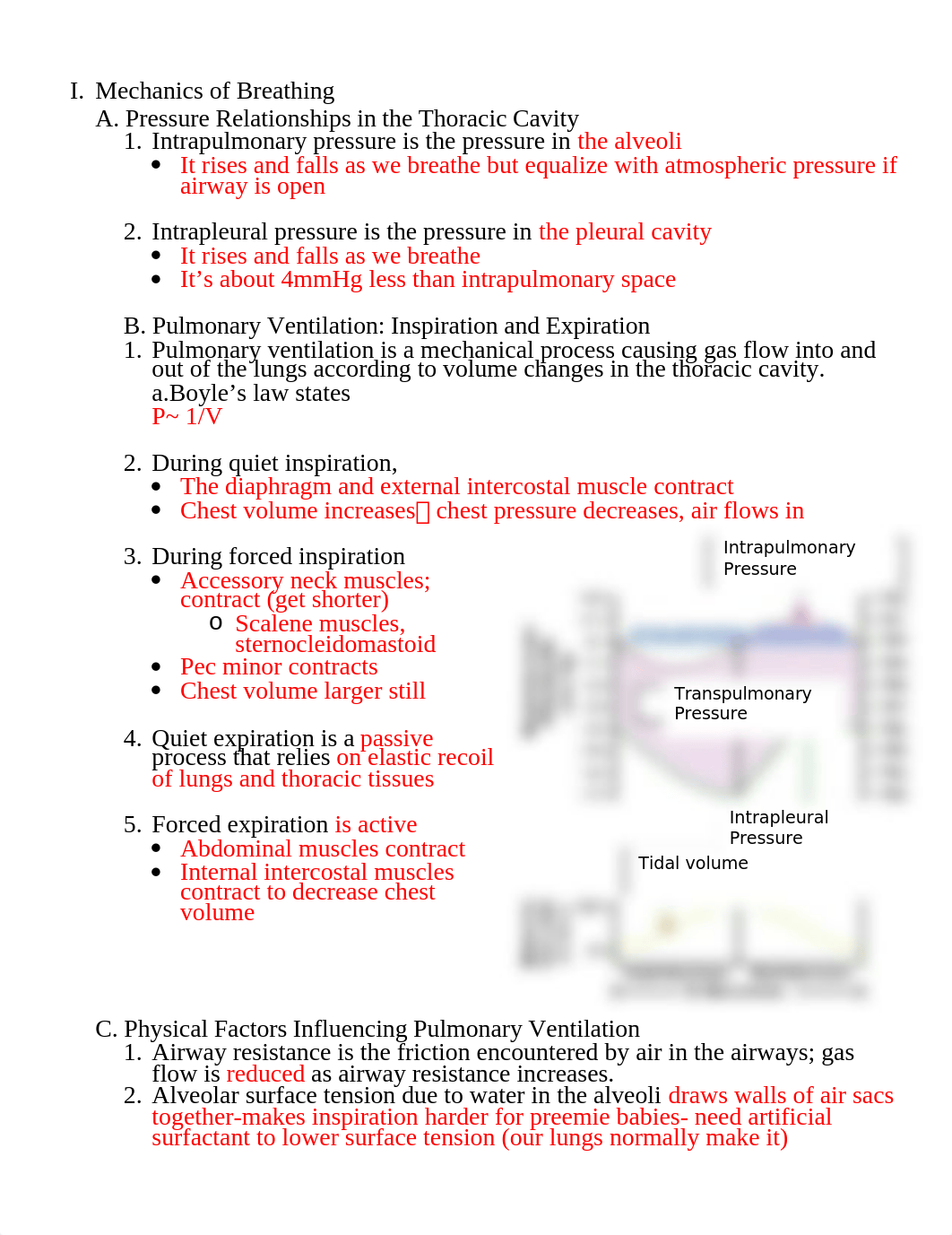 Respiratory Notes.docx_dak1owp7hgm_page1