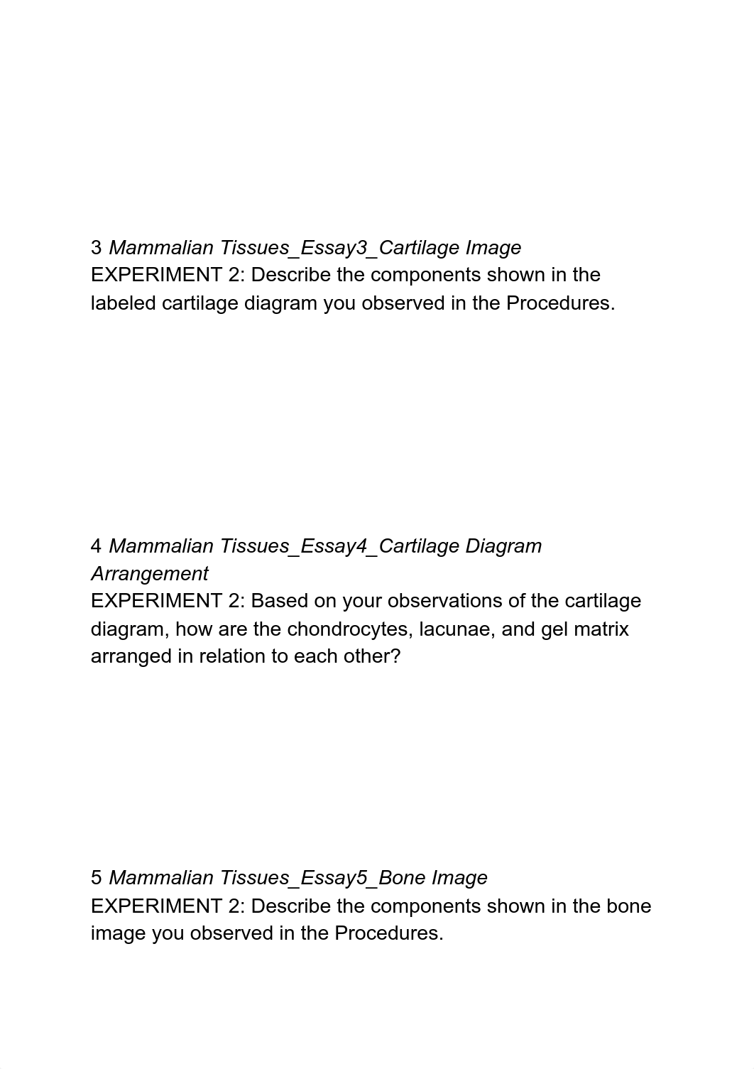 Worksheet_Mammalian_Tissues (1).pdf_dakdcpt62li_page2