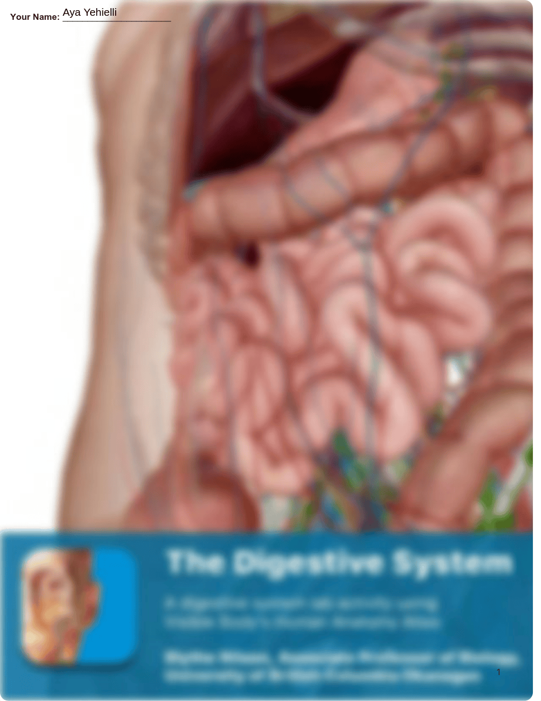 Lab_Activity_-_Digestive_System.pdf_dal0lr0gpp9_page1