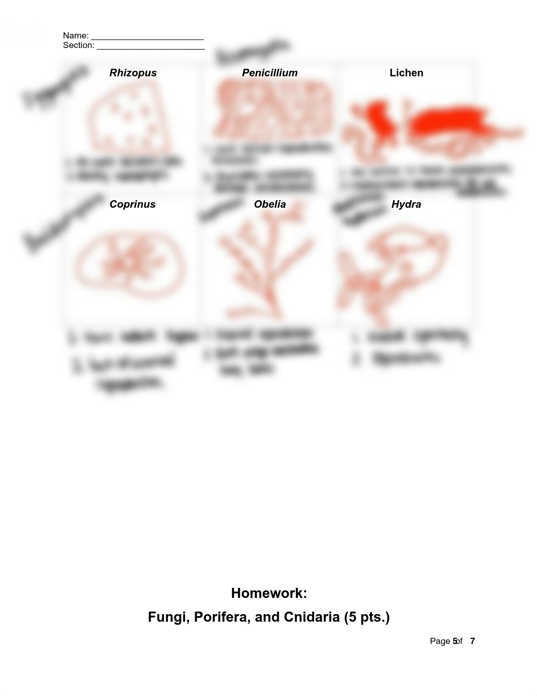 FungiCnidariaPorifera_Protocol+and+Datasheet_v1_F22.pdf_dal36upcslz_page1