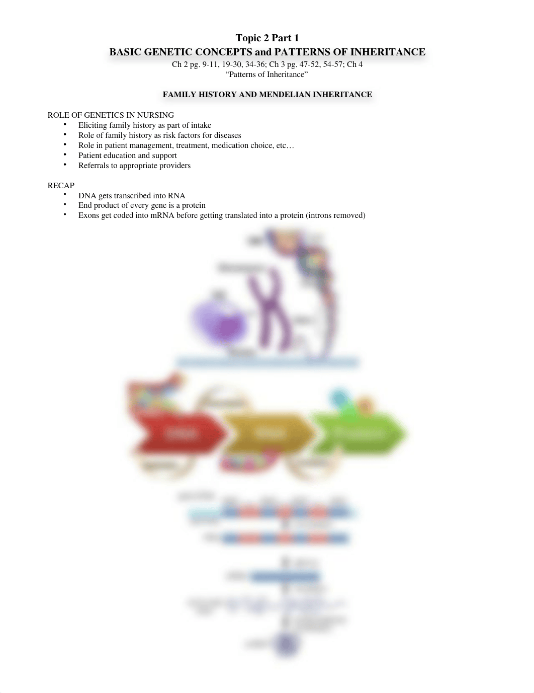 Genetics Topic 2.docx_dal5sxvi6tr_page1